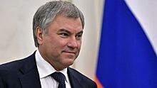 Володин поздравил с праздником работников гражданской авиации