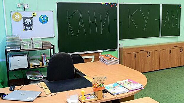 В Новосибирской области введут двухнедельные школьные каникулы