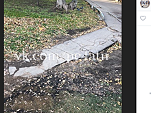 Благоустройство улицы Полбина выполняется поэтапно