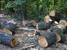 На экс-главу села Кипрево завели уголовное дело