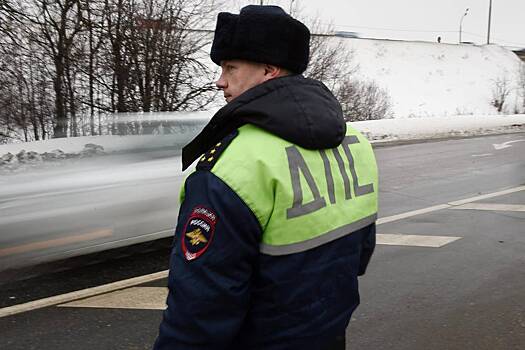 На трассе в России задержали иностранца за перевозку 253 свертков с наркотиками