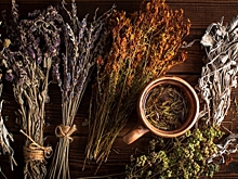 Врач: лечение травами может навредить здоровью