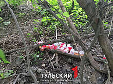 На берегу реки Упы в Туле обнаружили свалку опасных биоматериалов