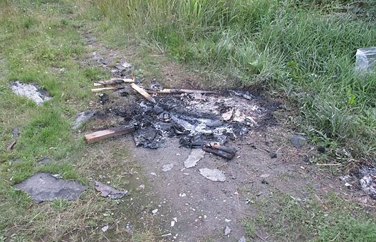 В Серове двое мужчин убили знакомого и сожгли его тело