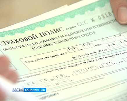 В Калининградской области подсчитали случаи мошенничества в сфере страхования