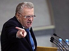 Владимир Жириновский сменил куратора Оренбургского ЛДПР