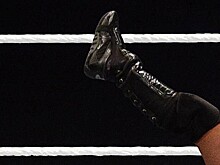 СМИ: WWE разрешили проводить турниры во Флориде, следующим может стать UFC