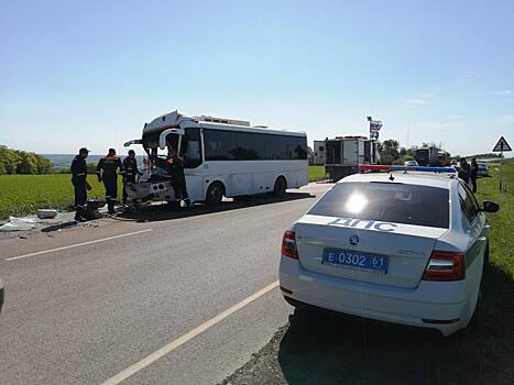 Есть пострадавшие: в Ростовской области маршрутка с пассажирами врезалась в грузовик