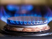 В Госдуме рассказали о последствиях отказа Украины от российского газа