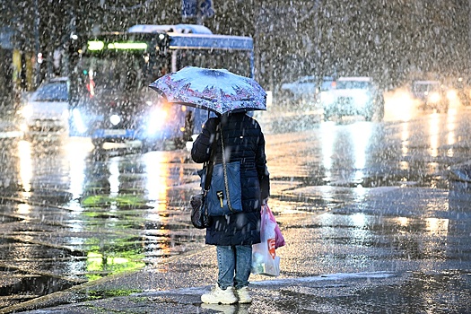 На следующей неделе в Москве ожидается мокрый снег