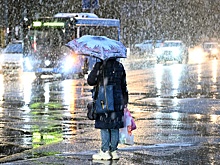 На следующей неделе в Москве ожидается мокрый снег