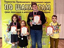 Нижегородские шахматисты завоевали девять медалей на чемпионате ПФО