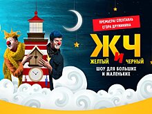 22 февраля состоится премьера спектакля Егора Дружинина «Желтый и черный»