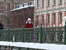 В Санкт-Петербурге зафиксировали самую низкую с начала зимы температуру