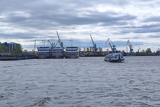 Из-за критического маловодья рыбохозяйственный попуск на Волге решили начать досрочно