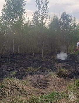 Лес загорелся в пригороде Обнинска