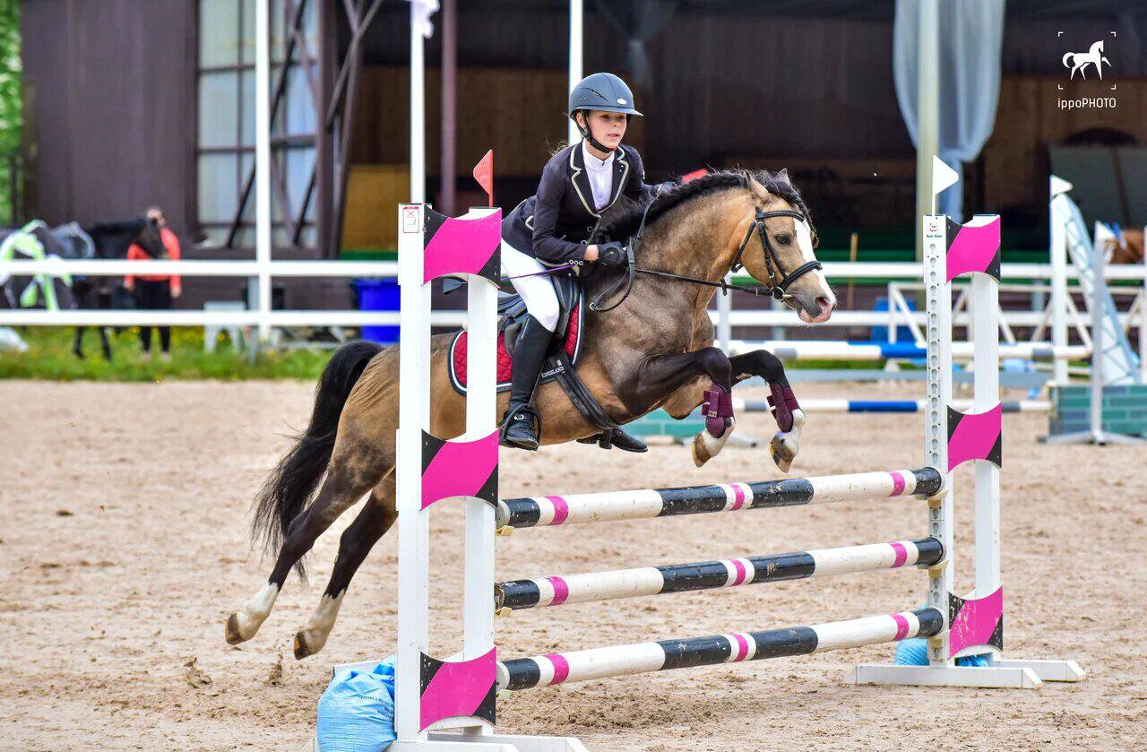 Международная&nbsp; федерация конного спорта допустила российских юниоров к турнирам с флагом и гимном