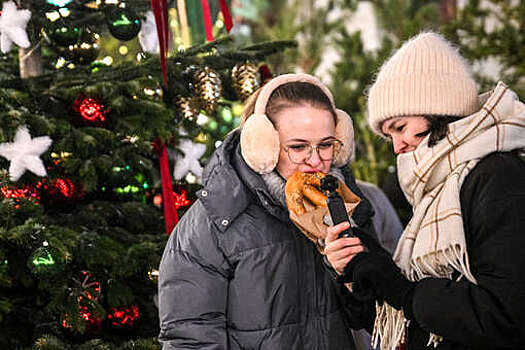 Москва и Петербург вошли в топ направлений на новогодние каникулы