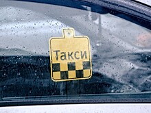 Бастрыкин изучит обстоятельства нападения на таксиста в аэропорту Сочи