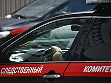 Директор колледжа сообщил о вызове в СК из-за поста о Свердлове и Невском