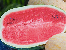 Москвичам пока не рекомендуют покупать арбузы и дыни: сезон начнется в августе