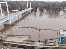 Подсчитан ущерб от паводка в Оренбургской области для сферы АПК
