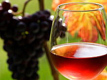 Как учёные проверяют теорию об умеренном потреблении алкоголя