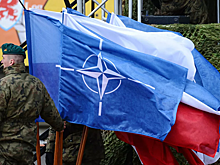 В Германии потребовали распустить НАТО