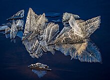 Сюрприз для петрозаводчан: на Онежском озере снова "распустились" ледяные "цветы"