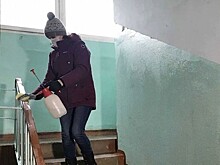 Управляющим компаниям региона предписано проводить санитарную обработку подъездов