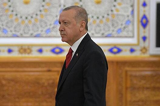 Эрдогана не смущает, что в Великий Туран войдут российские территории