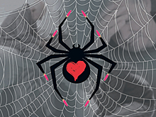 Чёртова дюжина чёрной вдовы