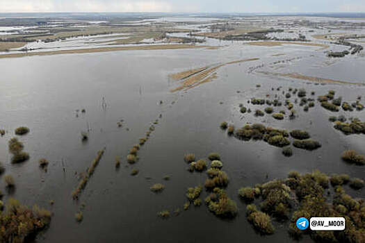 Губернатор Моор: возросла интенсивность прибытия воды в реке у города Ишима