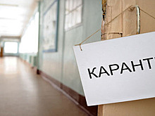 Школа №54 в Липецке закрыта на карантин по причине ОРВИ