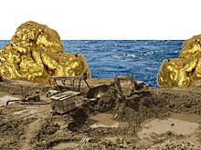 Золото дороже человека: СПЧ и ОНФ выступают против золотодобычи в Алтайском крае