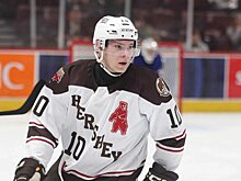 Тринеев забил «Лихай Вэлли» в пустые ворота в 5-м матче серии плей-офф АХЛ. Фарм «Вашингтона» выбил фарм «Филадельфии» с Гребенкиным и вышел в финал дивизиона