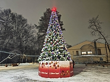 В Рязани подростки повредили новогоднюю елку на 50 тысяч рублей