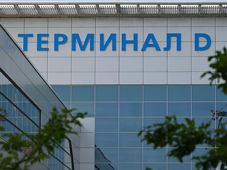 Шереметьево откроет терминал D, если "Победа" возобновит полеты из аэропорта – СМИ