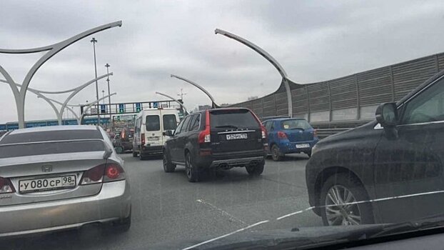 Фестиваль для велосипедистов и бегунов на ЗСД в Петербурге решили сделать ежегодным
