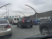 Фестиваль для велосипедистов и бегунов на ЗСД в Петербурге решили сделать ежегодным