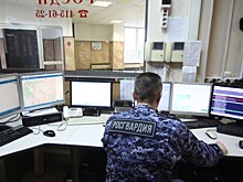 МВД: россияне воруют чаще, чем нарушают ПДД