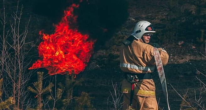 МЧС Карелии выступило с обращением к гражданам из-за сжигания сухой травы
