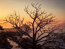 В Нижневартовске будут развивать туризм на севере