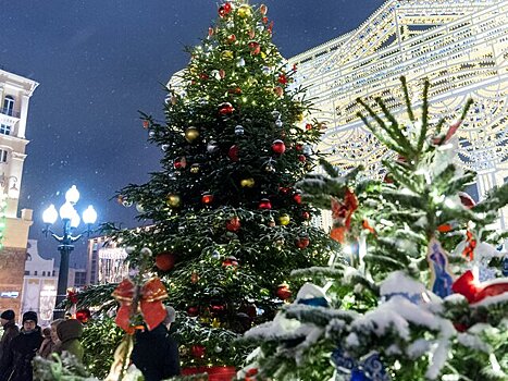 Россиян предупредили об опасности новогодних елок