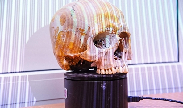 Харбинский череп отнесли к новому виду древнего человека