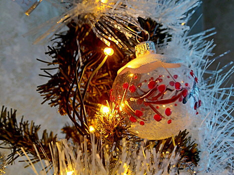 В Омске к Новому году украсят Городской сад