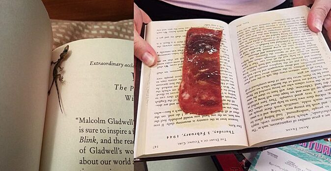 Вот так находка: 10 фотографий необычных вещей, найденных в библиотечных книгах