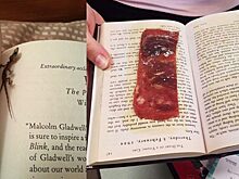 Вот так находка: 10 фотографий необычных вещей, найденных в библиотечных книгах