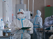 В России выявили 33 796 случаев коронавируса