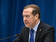 Медведев дал совет главе МИД Австрии